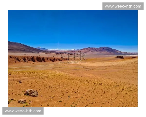 安第斯山的冰火碰撞：当智利红魔遇见阿根廷雄鹰，足球不止是90分钟的较量